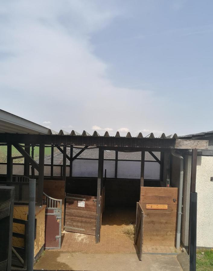 Schoenes Appartement " Die Ponybude" Auf Unserem Reiterhof Birkenbeul Exterior foto